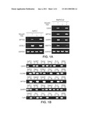 Aberrantly Methylated Genes in Pancreatic Cancer diagram and image