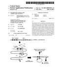 METHOD FOR STUDYING V(D)J COMBINATORY DIVERSITY diagram and image