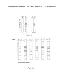 METHOD FOR STUDYING V(D)J COMBINATORY DIVERSITY diagram and image