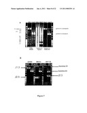 METHOD FOR STUDYING V(D)J COMBINATORY DIVERSITY diagram and image