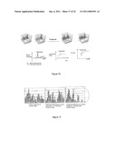 METHOD FOR STUDYING V(D)J COMBINATORY DIVERSITY diagram and image