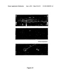 METHOD FOR STUDYING V(D)J COMBINATORY DIVERSITY diagram and image