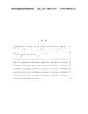 Fibroblast Growth Factor-Like Polypeptides diagram and image