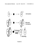 LINKED PEPTIDE FLUOROGENIC BIOSENSORS diagram and image