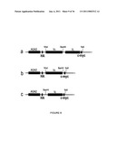 LINKED PEPTIDE FLUOROGENIC BIOSENSORS diagram and image