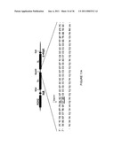 LINKED PEPTIDE FLUOROGENIC BIOSENSORS diagram and image