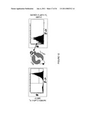 LINKED PEPTIDE FLUOROGENIC BIOSENSORS diagram and image