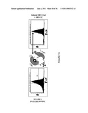 LINKED PEPTIDE FLUOROGENIC BIOSENSORS diagram and image