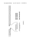 LINKED PEPTIDE FLUOROGENIC BIOSENSORS diagram and image