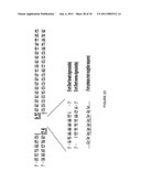 LINKED PEPTIDE FLUOROGENIC BIOSENSORS diagram and image