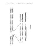 LINKED PEPTIDE FLUOROGENIC BIOSENSORS diagram and image