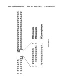 LINKED PEPTIDE FLUOROGENIC BIOSENSORS diagram and image