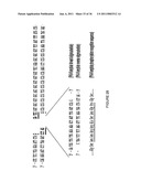 LINKED PEPTIDE FLUOROGENIC BIOSENSORS diagram and image