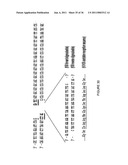 LINKED PEPTIDE FLUOROGENIC BIOSENSORS diagram and image