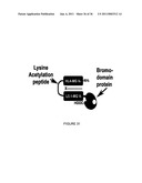 LINKED PEPTIDE FLUOROGENIC BIOSENSORS diagram and image