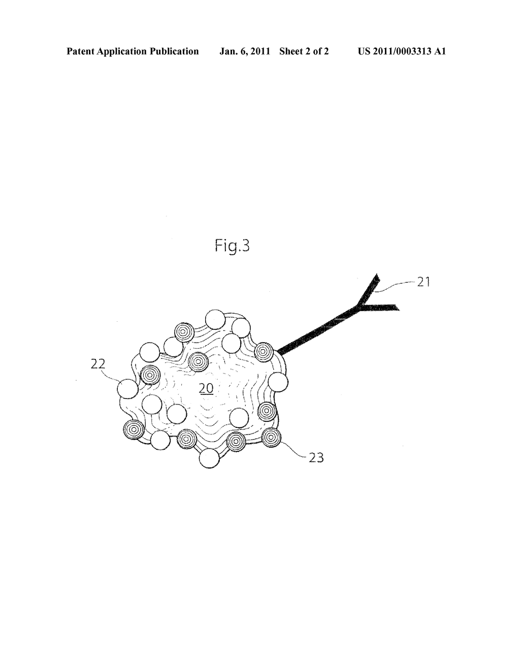 AMPLIFIED LABELED CONJUGATE FOR USE IN IMMUNOASSAYS - diagram, schematic, and image 03