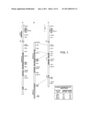 Transgenic Trasnchromosomal Rodents for Making Human Antibodies diagram and image