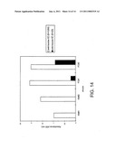 Transgenic Trasnchromosomal Rodents for Making Human Antibodies diagram and image