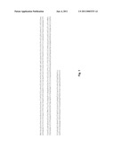 Method for Increasing Expression Yield of a Protein of Interest diagram and image