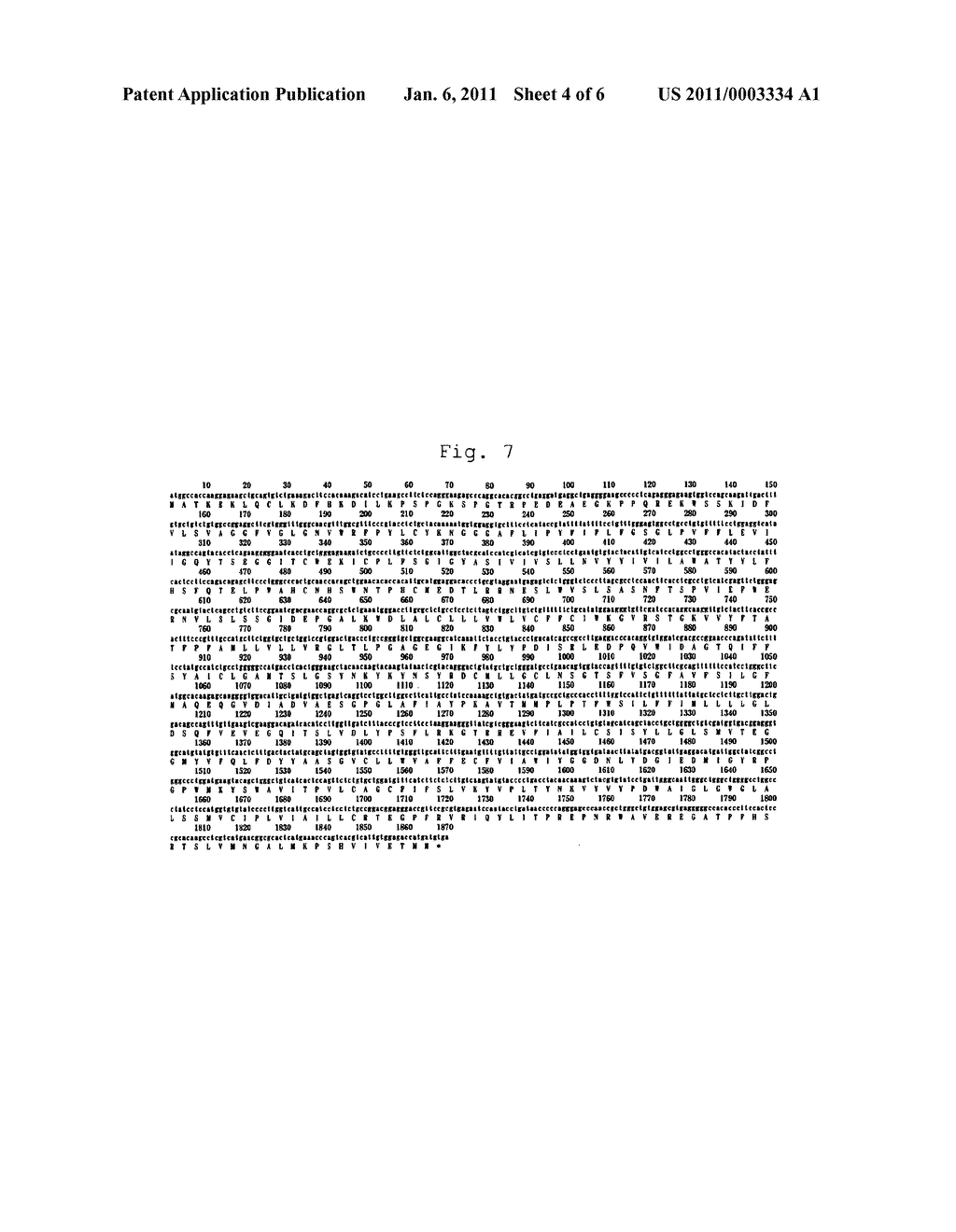 METHOD FOR PRODUCING A CELL CAPABLE OF HIGH-YIELD PRODUCTION OF HETEROPROTEINS - diagram, schematic, and image 05