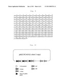 METHOD FOR PRODUCING A CELL CAPABLE OF HIGH-YIELD PRODUCTION OF HETEROPROTEINS diagram and image