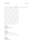 METHOD FOR PRODUCING A CELL CAPABLE OF HIGH-YIELD PRODUCTION OF HETEROPROTEINS diagram and image