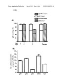 Methods for Increasing the Therapeutic Efficacy of Immunoglobulin G Class 3 (IgG3) Antibodies diagram and image