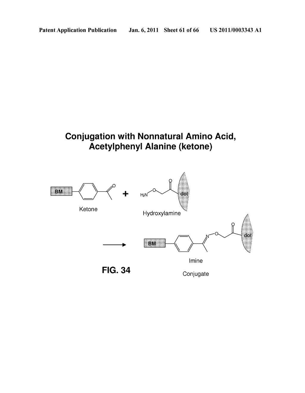 CONJUGATES OF BIOMOLECULES TO NANOPARTICLES - diagram, schematic, and image 62