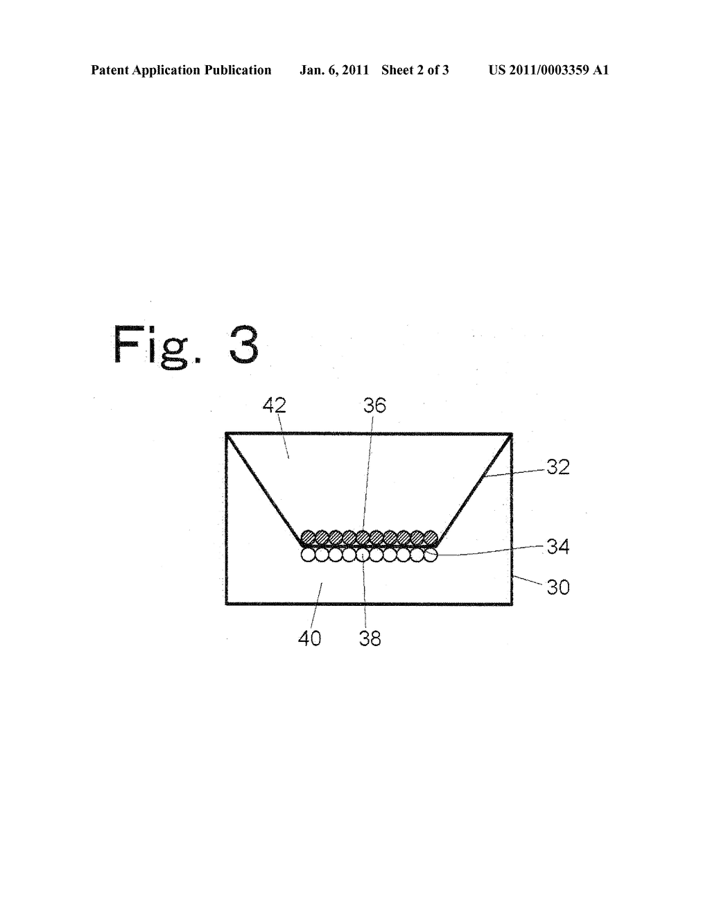 BIODEVICE - diagram, schematic, and image 03