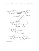 Conjugates of biological substances diagram and image