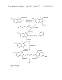 Conjugates of biological substances diagram and image