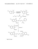 Conjugates of biological substances diagram and image