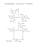 Conjugates of biological substances diagram and image