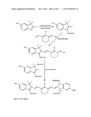 Conjugates of biological substances diagram and image