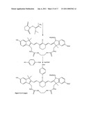 Conjugates of biological substances diagram and image