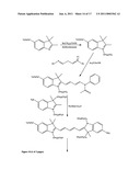 Conjugates of biological substances diagram and image