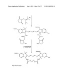 Conjugates of biological substances diagram and image