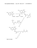 Conjugates of biological substances diagram and image