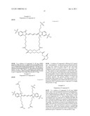 Conjugates of biological substances diagram and image