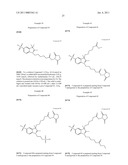 Conjugates of biological substances diagram and image
