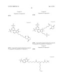 Conjugates of biological substances diagram and image