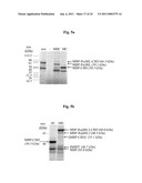 CHIMERIC AUTOPROCESSING POLYPEPTIDES AND USES THEREOF diagram and image