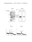 CHIMERIC AUTOPROCESSING POLYPEPTIDES AND USES THEREOF diagram and image