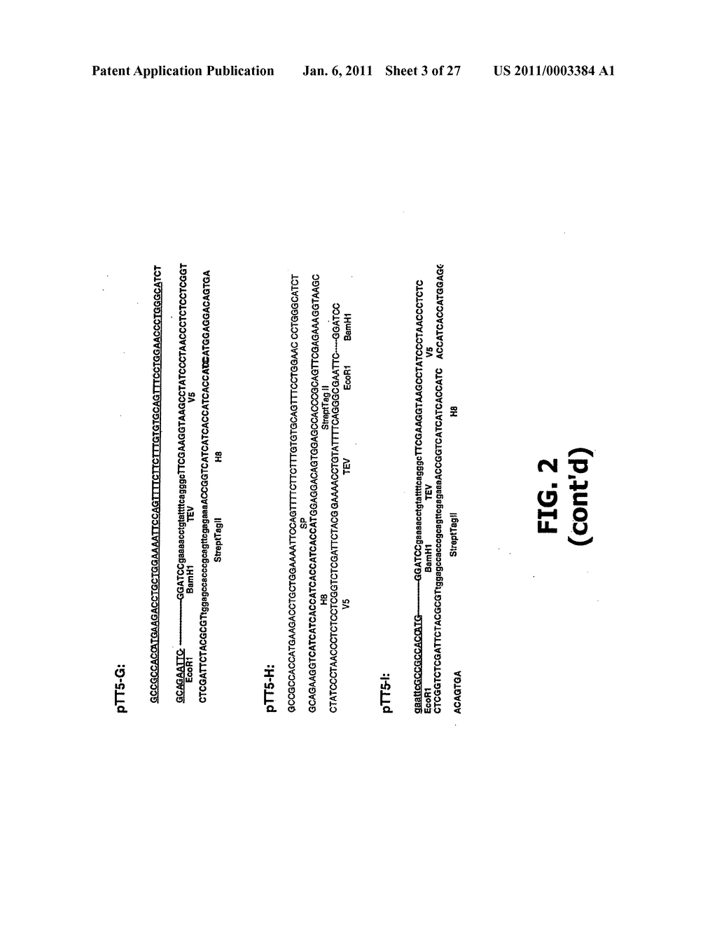 COMPOSITIONS AND METHODS OF USE FOR MGD-CSF IN DISEASE TREATMENT - diagram, schematic, and image 04