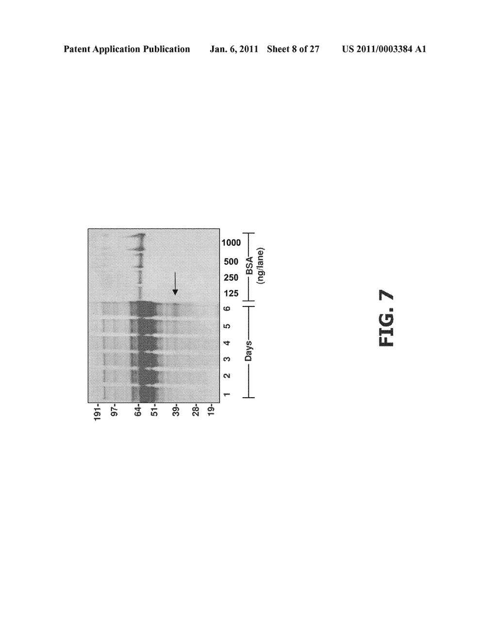 COMPOSITIONS AND METHODS OF USE FOR MGD-CSF IN DISEASE TREATMENT - diagram, schematic, and image 09