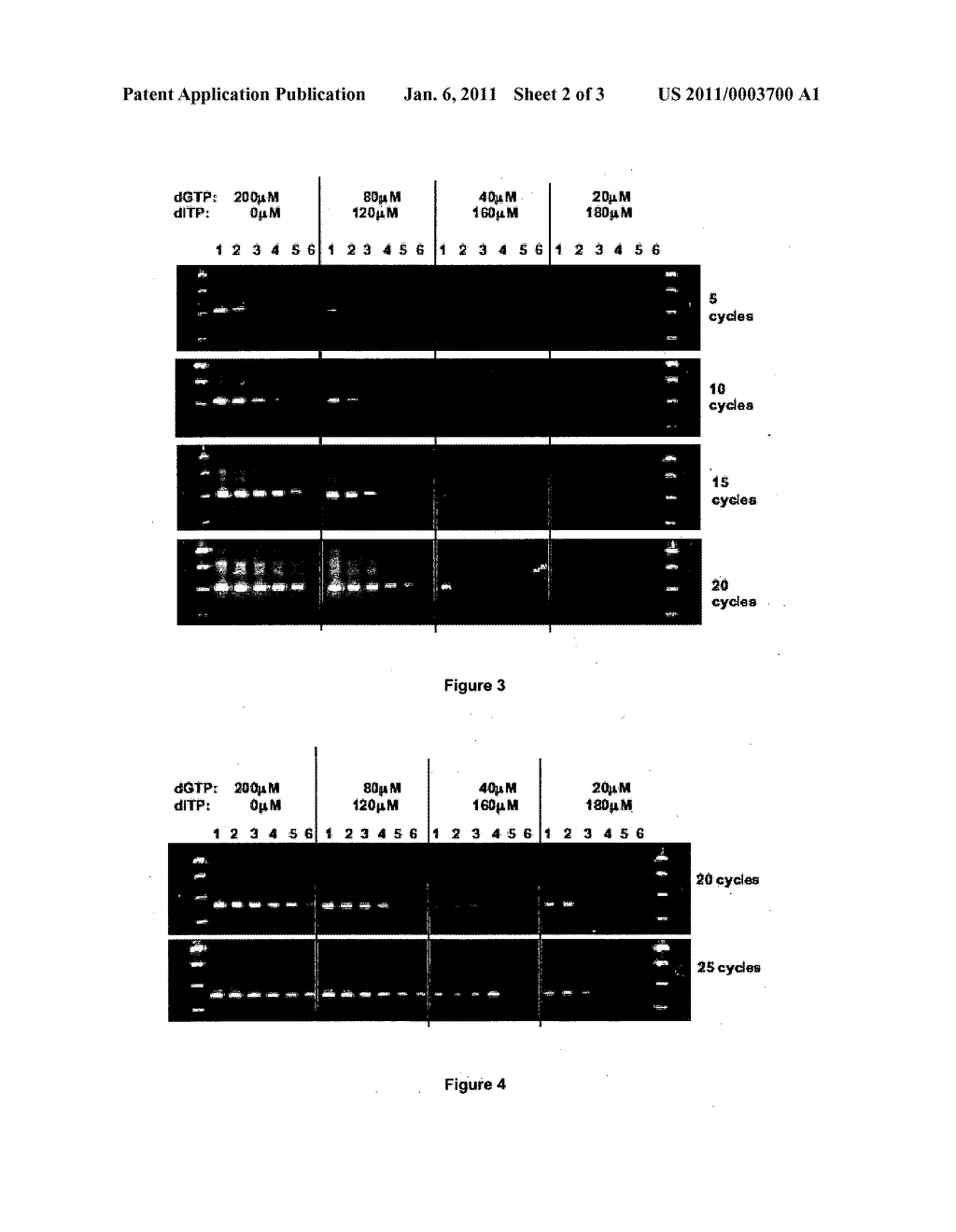 ELIMINATION OF CONTAMINANTS ASSOCIATED WITH NUCLEIC ACID AMPLIFICATION - diagram, schematic, and image 03