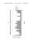 siRNA targeting apolipoprotein B (APOB) diagram and image