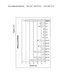 siRNA targeting apolipoprotein B (APOB) diagram and image