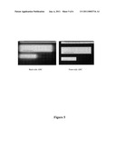 ANTIREFLECTIVE COATINGS FOR HIGH-RESOLUTION PHOTOLITHOGRAPHIC SYNTHESIS OF DNA ARRAY diagram and image