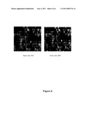 ANTIREFLECTIVE COATINGS FOR HIGH-RESOLUTION PHOTOLITHOGRAPHIC SYNTHESIS OF DNA ARRAY diagram and image